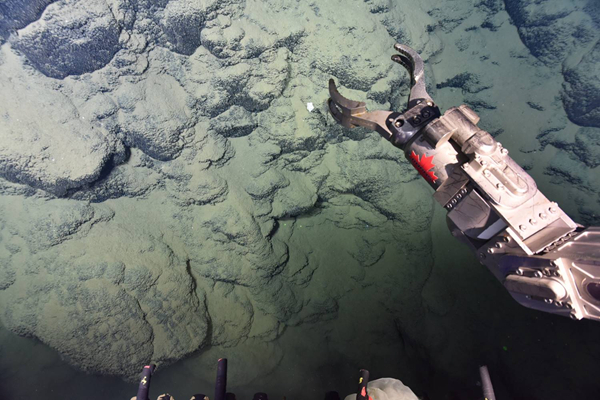 国企招聘｜共招16人！山东华特权属公司招聘来啦！(图1)