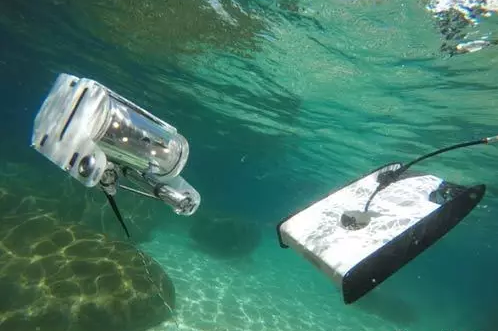 解码蓝色经济高质量发展(图1)