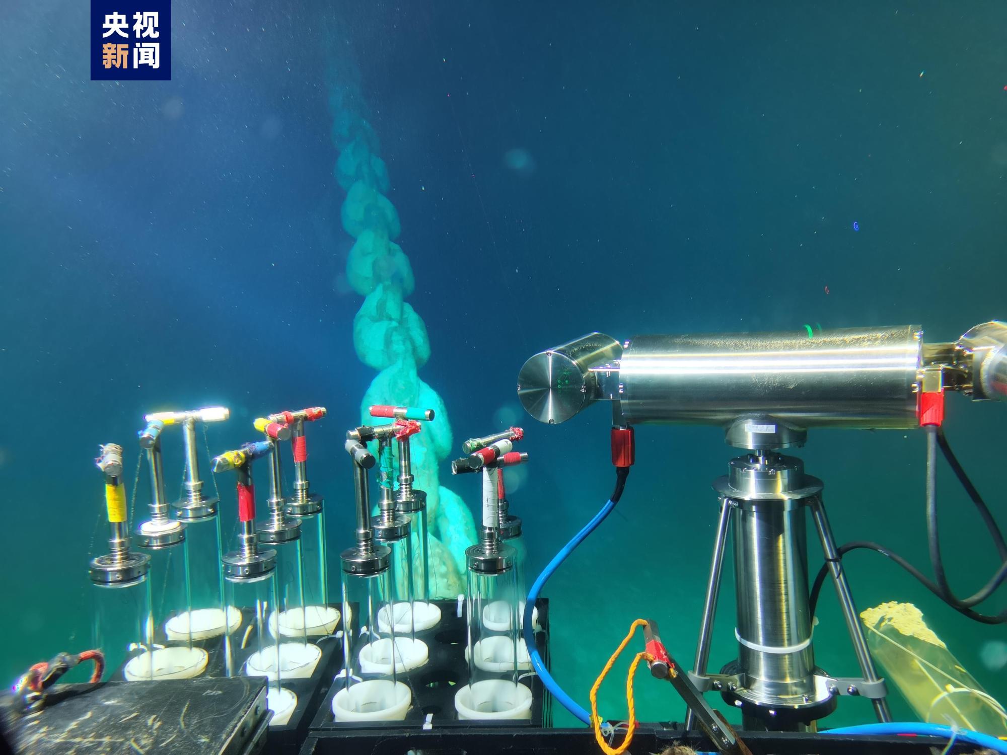 龟非龟鱼非鱼“谍”海暗流有多汹涌(图1)